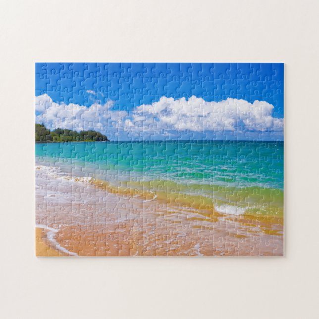 Puzzle La mer le long de la baie d'Hanalei (Horizontal)