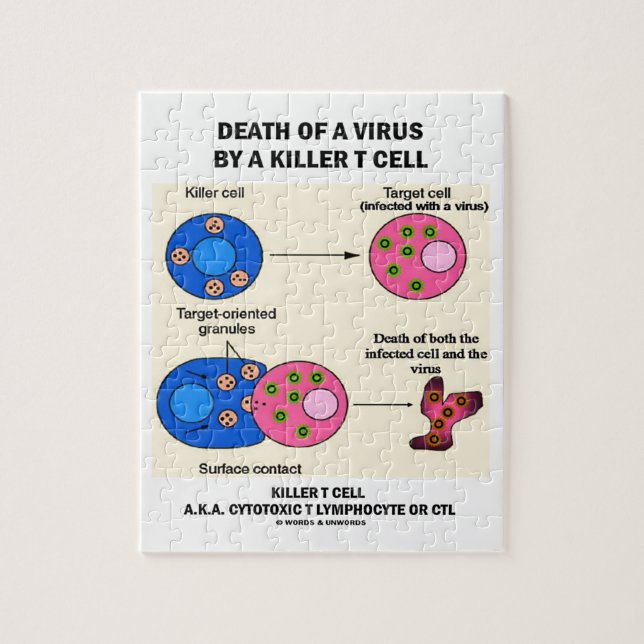 Puzzle La mort d'un virus par une cellule T de tueur (Vertical)