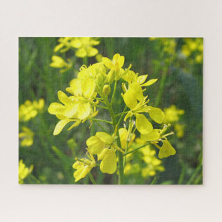 Puzzle La moutarde jaune lumineuse fleurit casse-tête