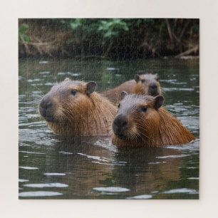 Puzzle La Nage Des Capybaras Dans La Rivière,