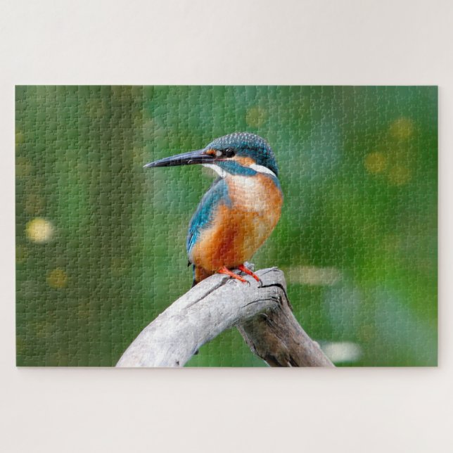 Puzzle La nature des oiseaux du martin pêcheur (Horizontal)
