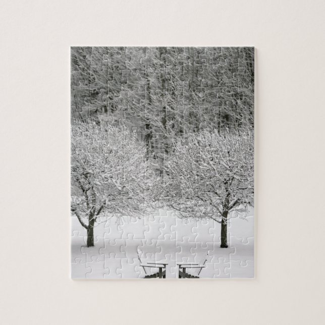 Puzzle La neige a couvert le paysage (Vertical)