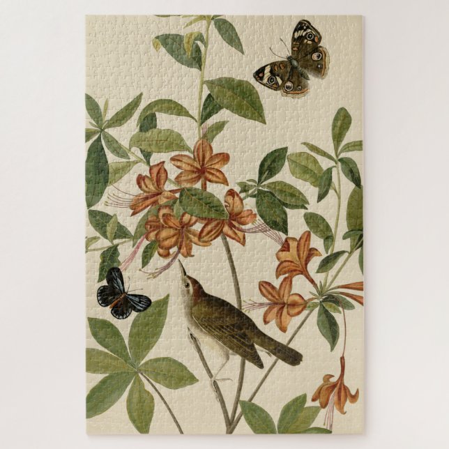 Puzzle La Paruline de Swainson d'Audubon's Birds of Ameri (Vertical)