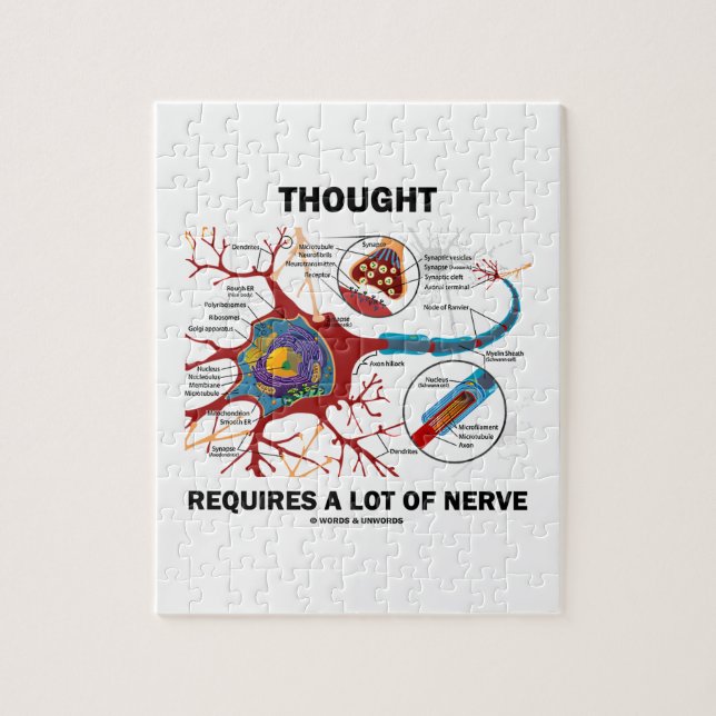 Puzzle La pensée exige beaucoup de nerf (neurone/synapse) (Vertical)