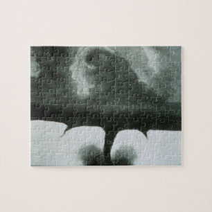 Puzzle La photographie connue la plus ancienne d'une