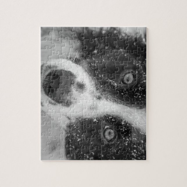 Puzzle La première neige de border collie (Vertical)