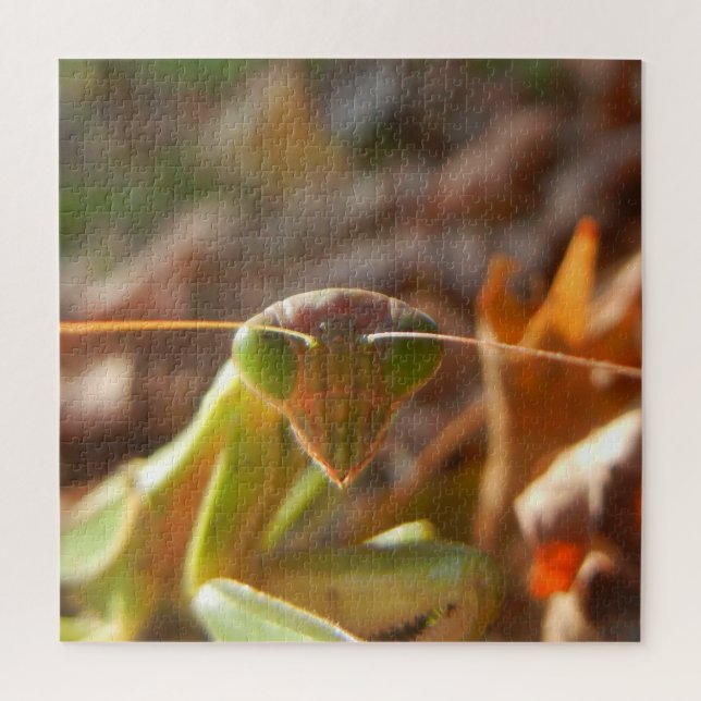 Puzzle La prière Macro Nature des insectes Mantis Photo (Vertical)