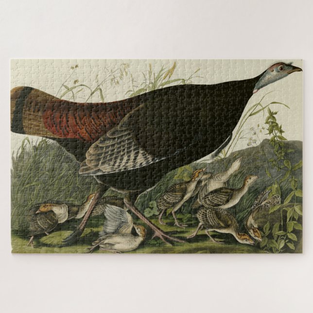 Puzzle La Turquie sauvage des oiseaux d'Amérique d'Audubo (Horizontal)