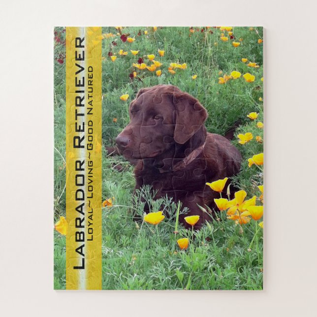 Puzzle Laboratoire de chocolat en Californie Patch sur me (Vertical)