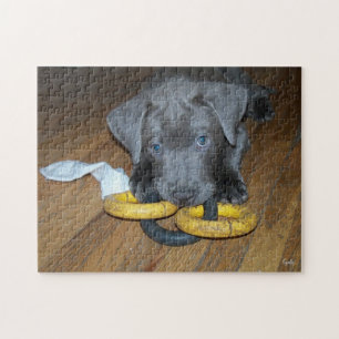 Puzzle Labrabull Puppy Jigsaw