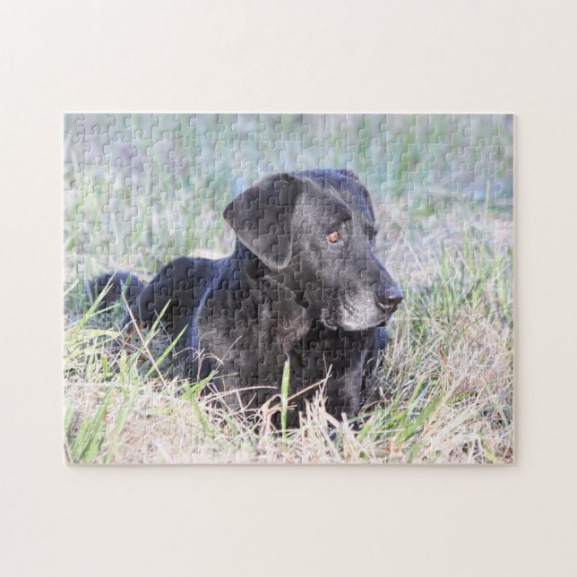 Puzzle Labrador retriever noir (Horizontal)