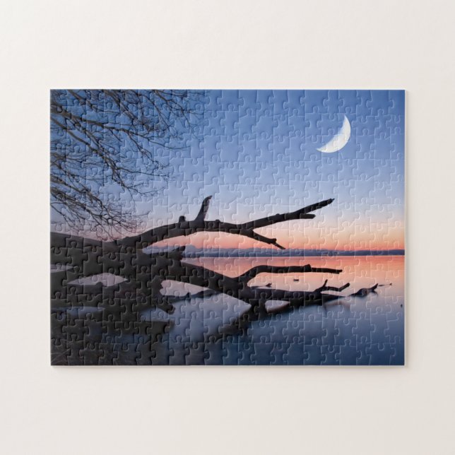 Puzzle Lac Tree at Starnberg | Bavaria Germany (Horizontal)