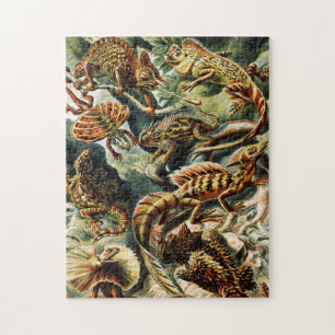 Puzzle Lacertilia Lizards par Ernst Haeckel