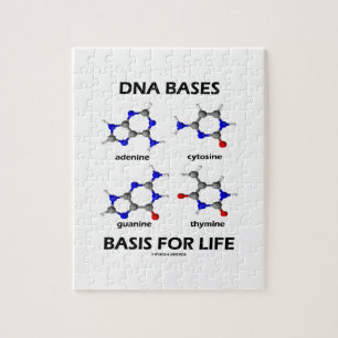 Puzzle L'ADN base la base pendant la vie (la structure