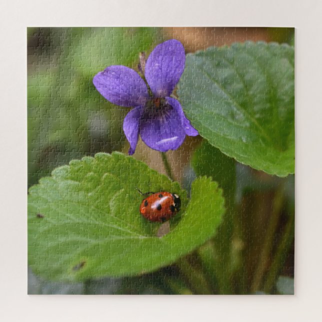 Puzzle Ladybug sur les fleurs de violet doux (Vertical)