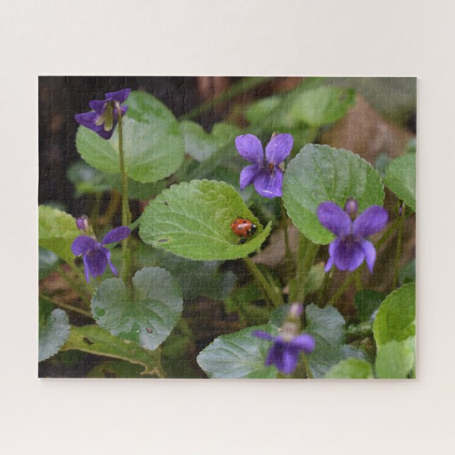 Puzzle Ladybug sur les fleurs de violet doux (Horizontal)