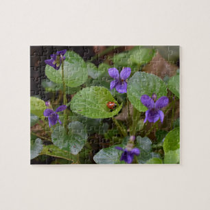 Puzzle Ladybug sur les fleurs de violet doux