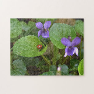 Puzzle Ladybug sur les fleurs de violet doux