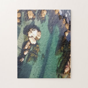 Puzzle Lagoon de Monterey