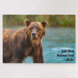 Puzzle Lake Clark National Park Grizzly Bear