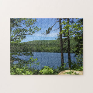 Puzzle Lake Trees Squam New Hampshire Photo