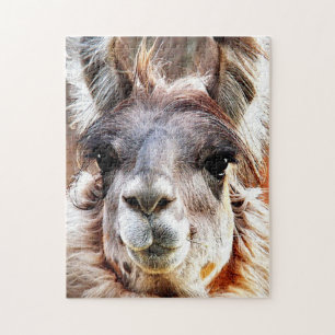 Puzzle Lama