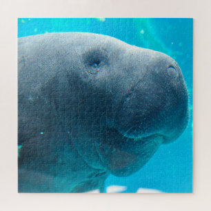 Puzzle Lamantin