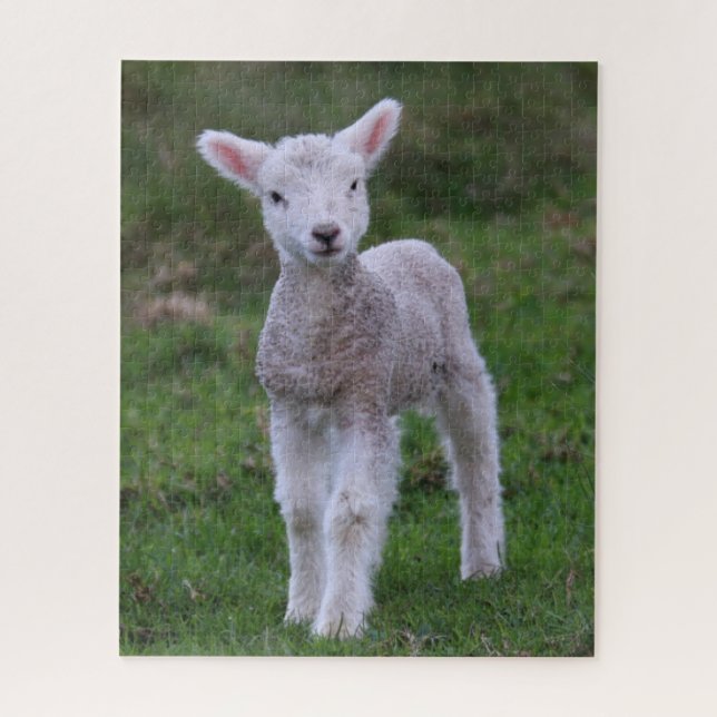 Puzzle Lamb Bébé Mouton ferme animal (Vertical)
