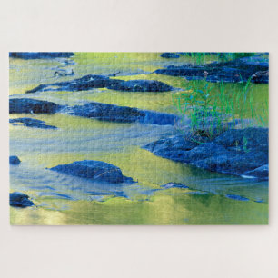 Puzzle Lamprey   New Hampshire