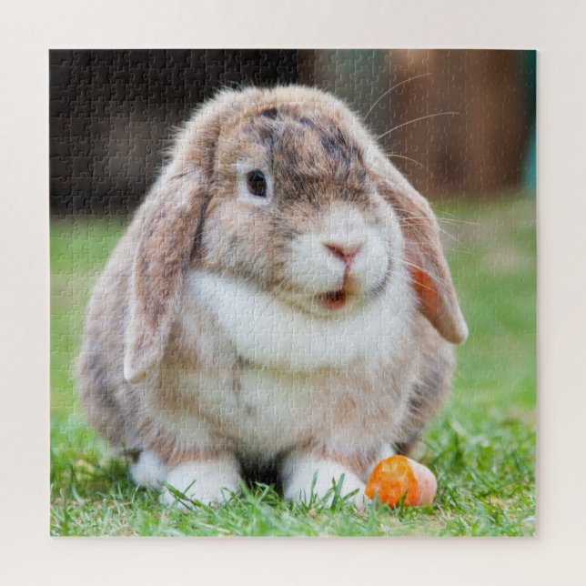 Puzzle Lapin (Vertical)