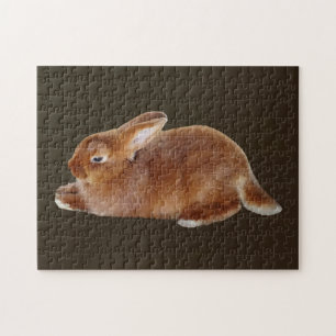 Puzzle Lapin Brown