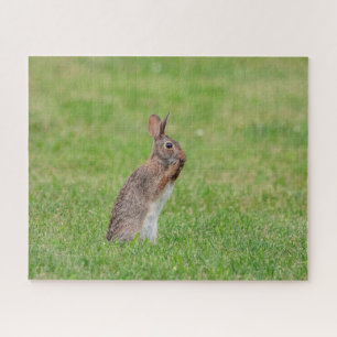 Puzzle Lapin debout dans l'herbe et l'air timide