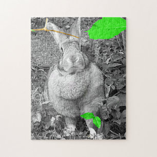 Puzzle Lapin géant flamand B et W avec le feuille vert