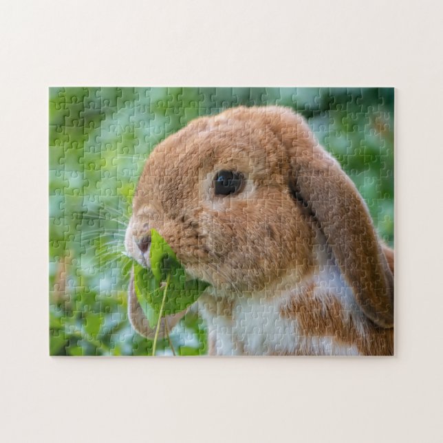 Puzzle Lapin lapin lapin lapin de lop holland blanc (Horizontal)