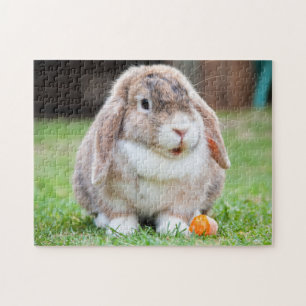 Puzzle Lapin Lapin Mini Lop