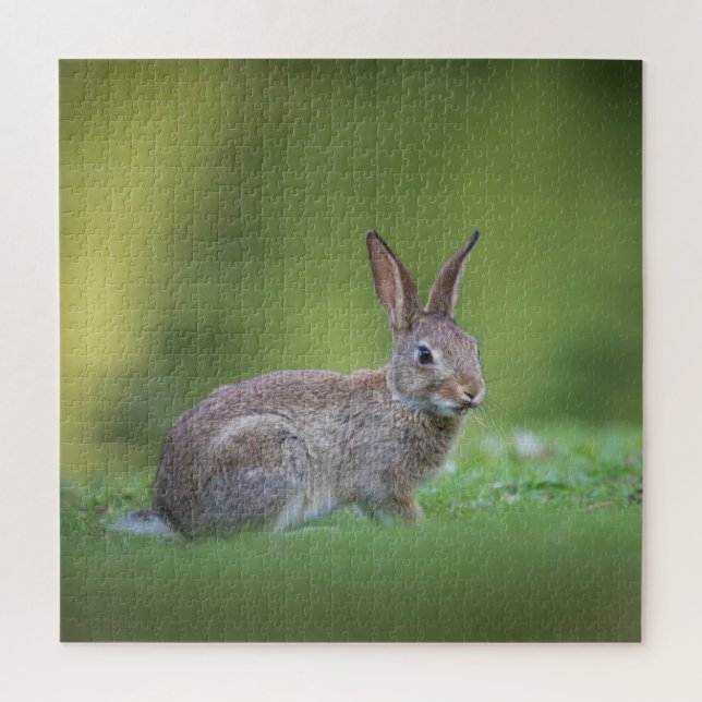 Puzzle Lapin Lapin Nature Photo (Vertical)
