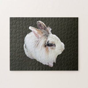 Puzzle Lapin Lionhead tricolore