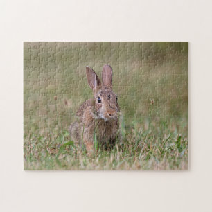 Puzzle Lapin sauvage