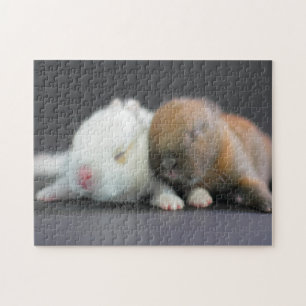 Puzzle Lapins nains de Netherland