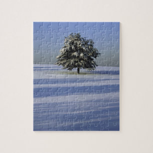 Puzzle L'arbre dans la neige a couvert le paysage