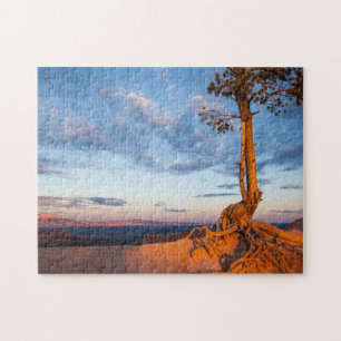 Puzzle L'arbre s'accroche au rebord, parc national de