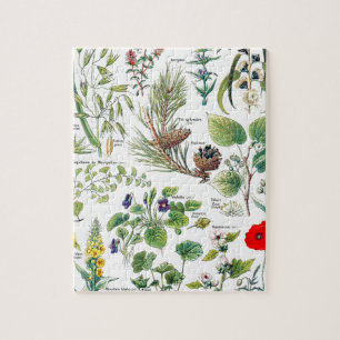 Puzzle Larousse plante des calmantes, emollientes,