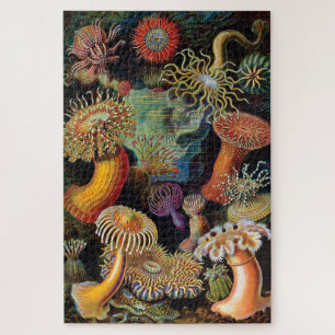 Puzzle L'art de la nature par Ernst Haeckel
