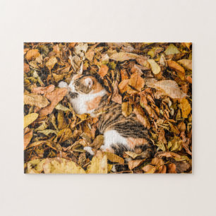 Puzzle L'automne, l'extérieur laisse tomber Tabby Calico 