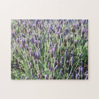 Puzzle Lavande