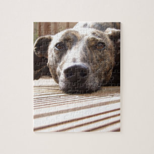 Puzzle Lazy Lurcher
