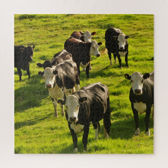 Puzzle Le bétail de vaches sur l'herbe verte (Vertical)