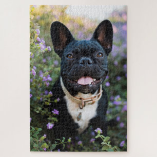 Puzzle Le Bulldog français se tient en fleurs