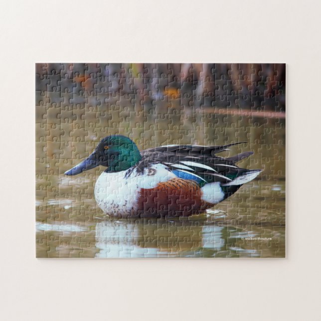 Puzzle Le canard de la rivière Northern à l'étang (Horizontal)
