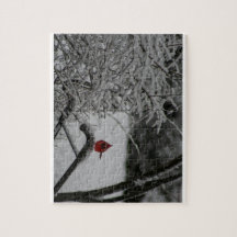 Le cardinal se repose dans la neige